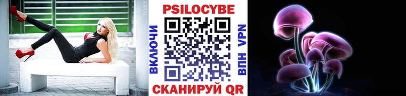 Галлюциногенные грибы Psilocybine cubensis  Лахденпохья 